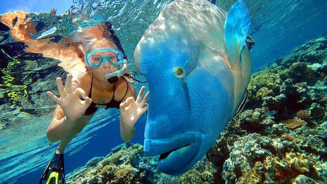 В чем опасен дайвинг