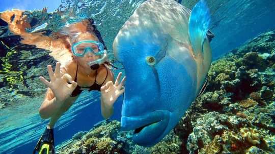 В чем опасен дайвинг