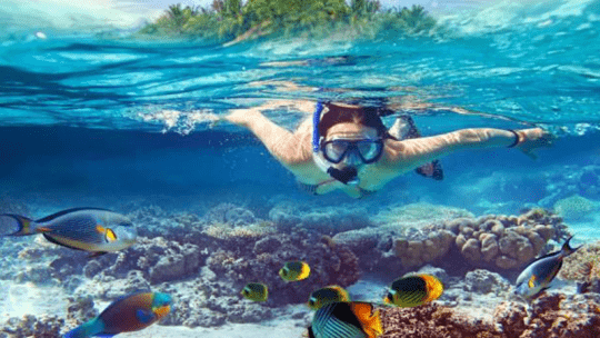 Дайвинг в Варадеро