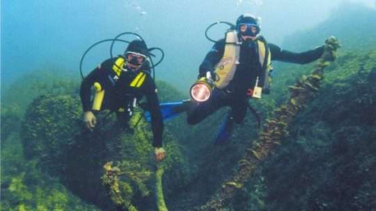 Дайвинг в Геленджике