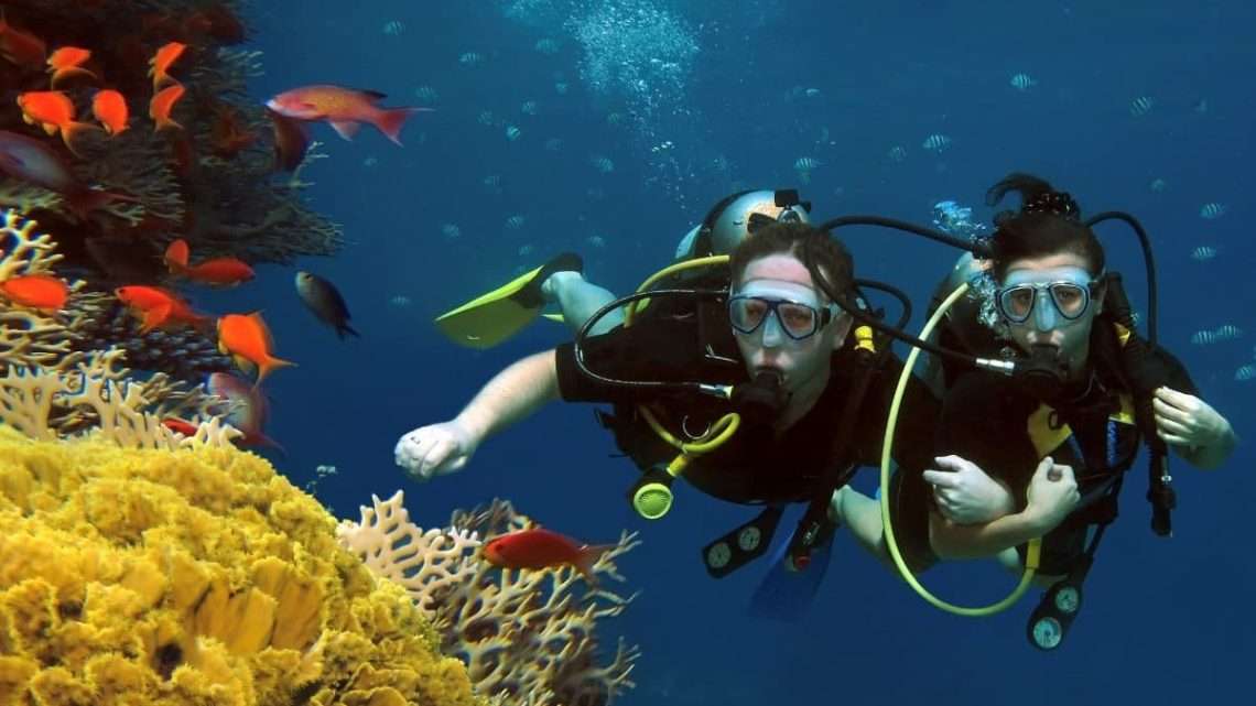 Дайвинг туры: погружение в мир приключений и морских глубин