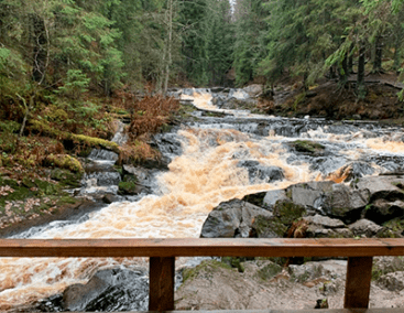 ЕЛОВО ДО ДОЛИНЫ ВОДОПАДОВ: ПУТЕШЕСТВИЕ К ПРИРОДНОЙ ГАРМОНИИ