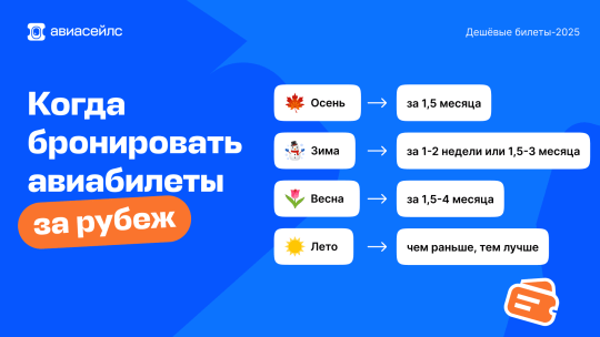 Как купить авиабилет дешево в СПб: секреты выгодных перелетов
