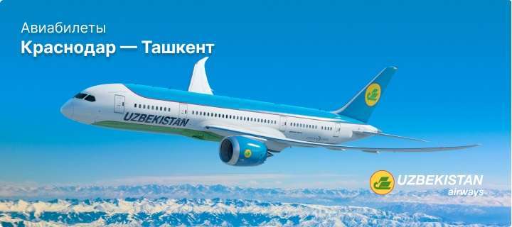 Краснодар Ташкент авиабилеты цена прямые рейсы: Как найти лучшие предложения