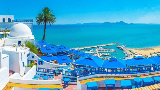 Туризм в Тунисе: современное состояние и перспективы