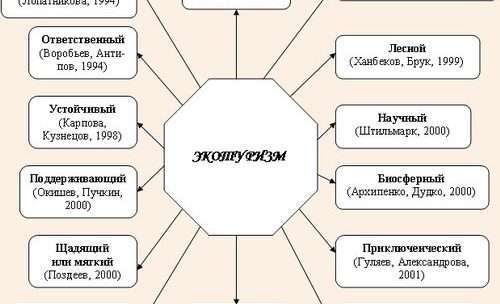 Экологический туризм: принципы, виды и устойчивое развитие