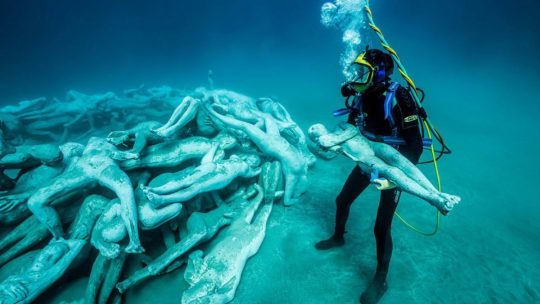 Подводные чудеса мира: редкие виды, которых можно увидеть только дайверам