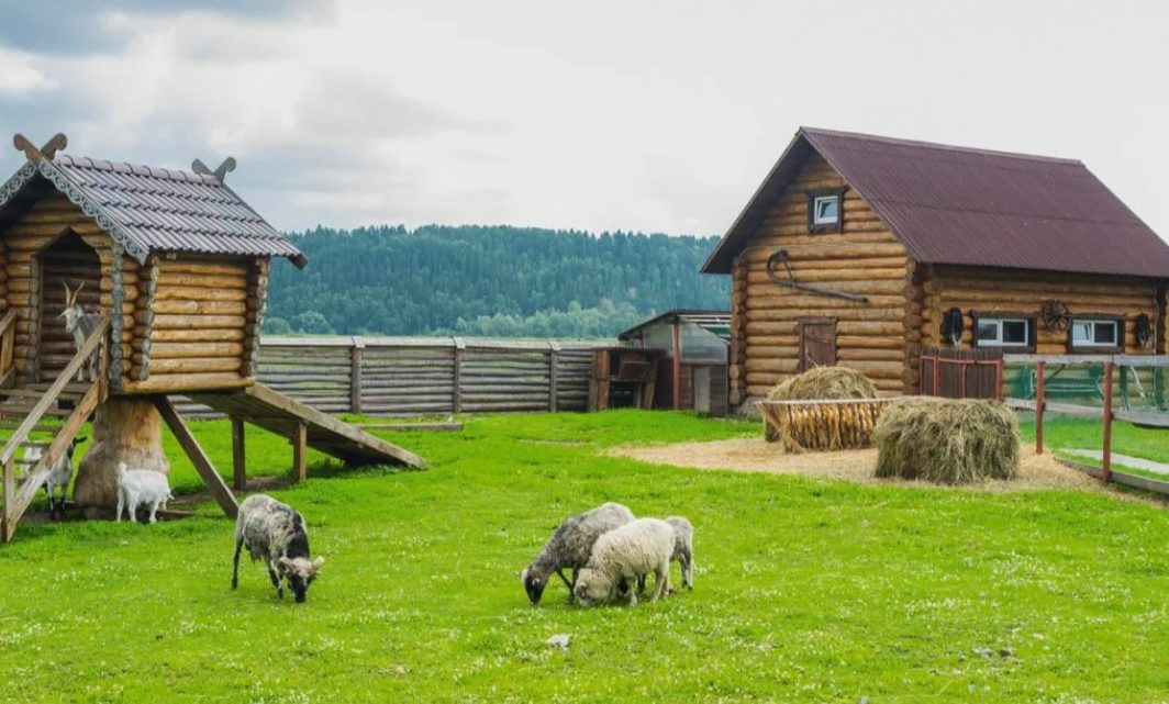Агротуризм и фермерские каникулы: почему поездки в деревню становятся модным трендом