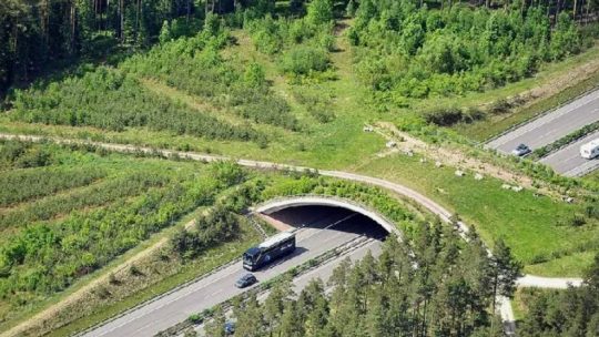 Известные трассы с секретом: нетипичные остановки вдоль популярных автодорог