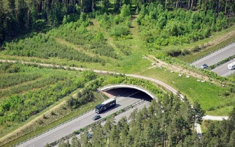 Известные трассы с секретом: нетипичные остановки вдоль популярных автодорог